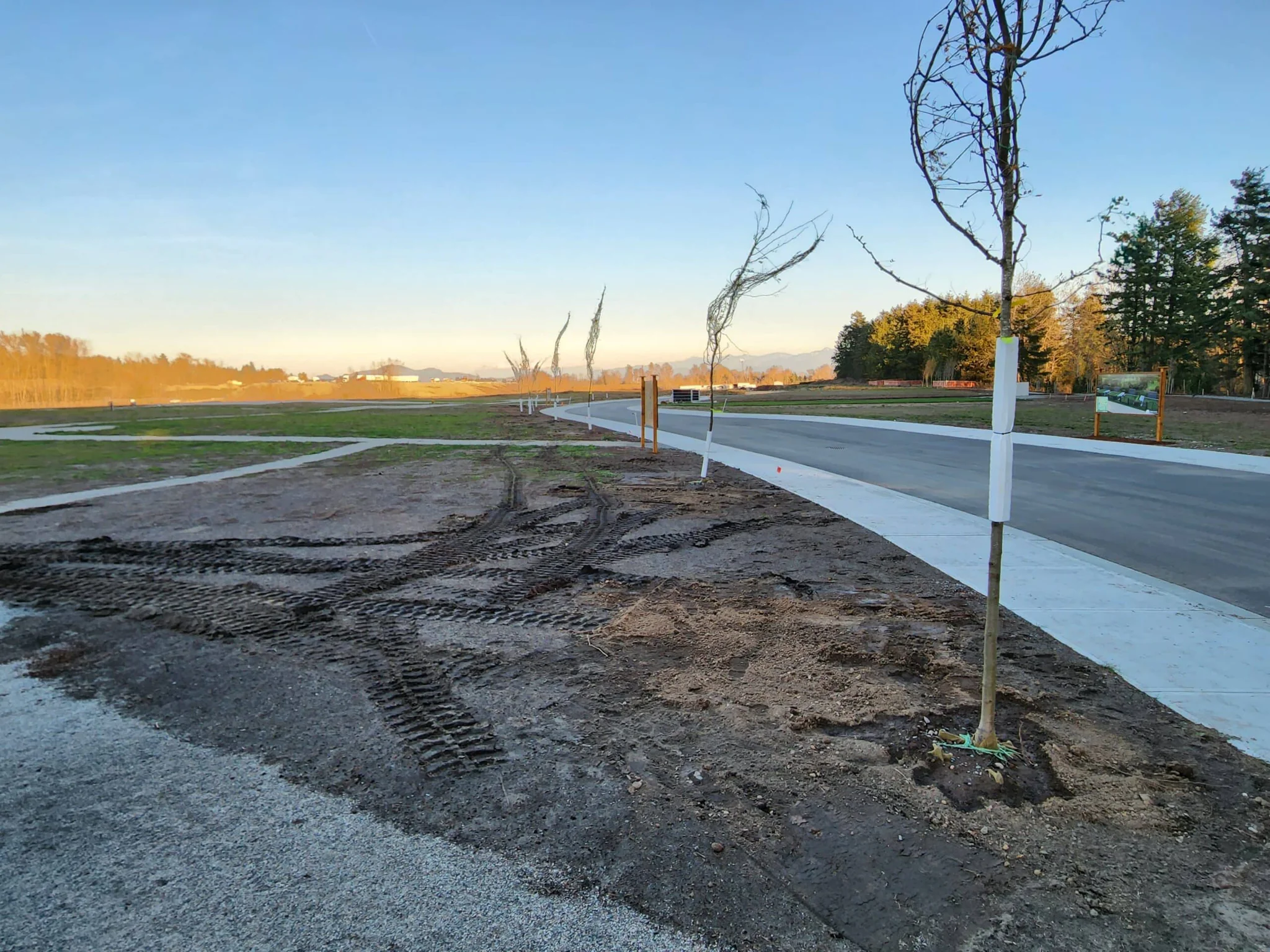 NW-PROMO-005 Frontage or pathway work