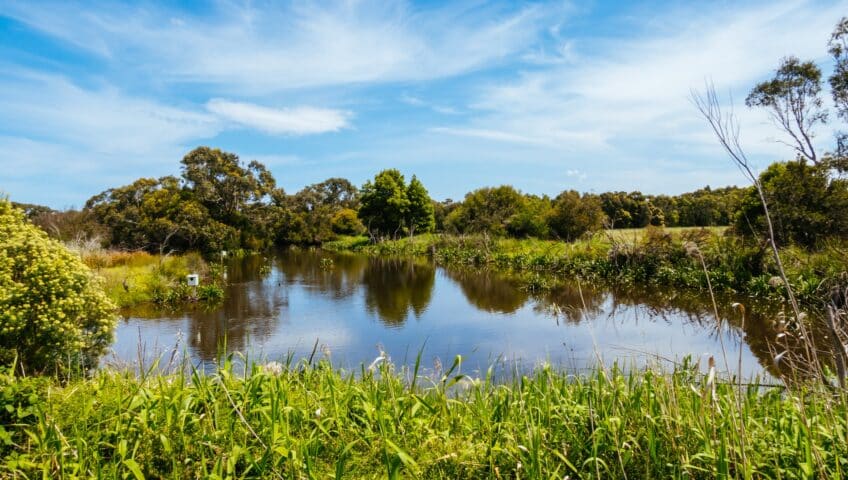 Eco-Friendly Retention Ponds