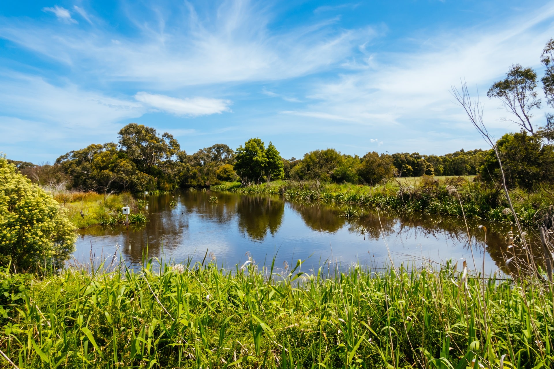 Eco-Friendly Retention Ponds